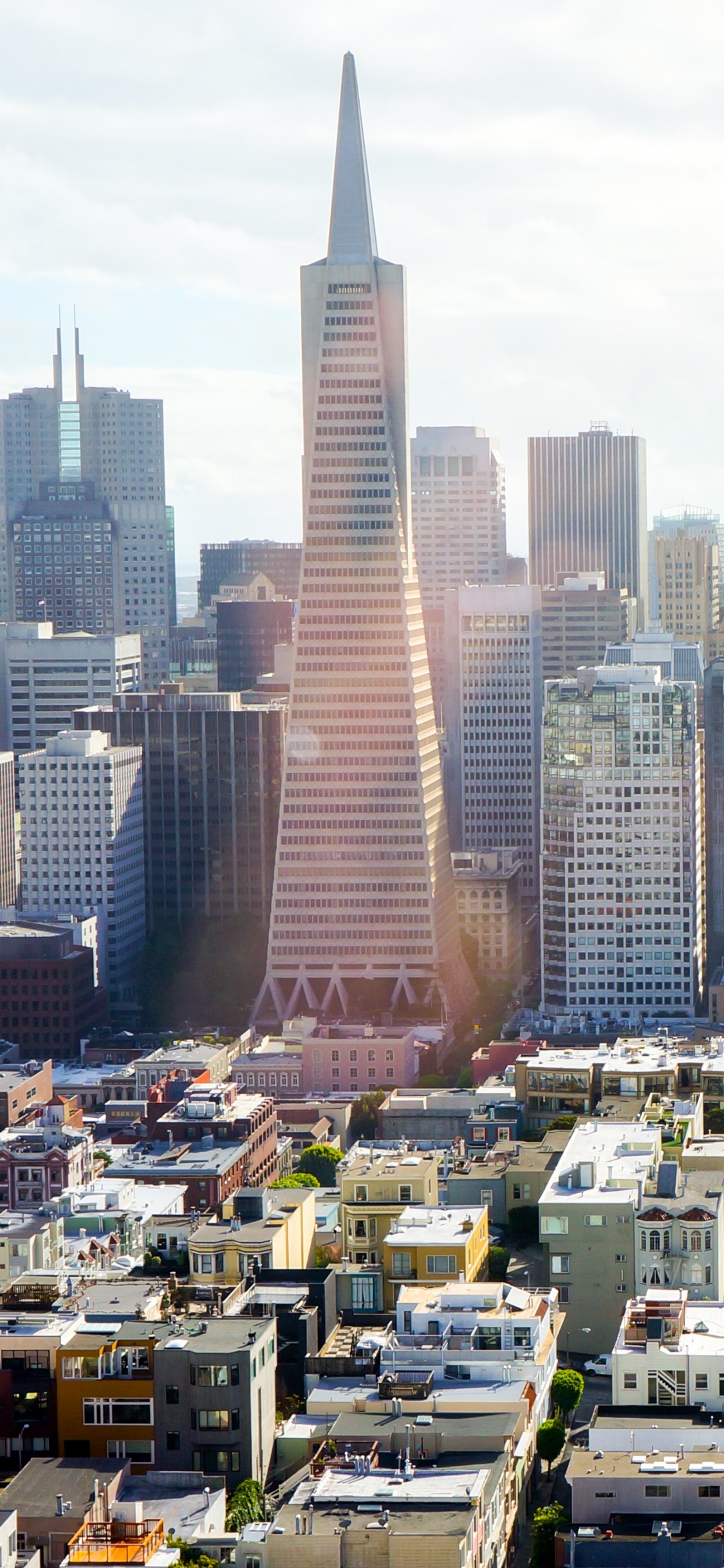 Immeubles de Grande Hauteur Pendant la Journée. Wallpaper in 1125x2436 Resolution