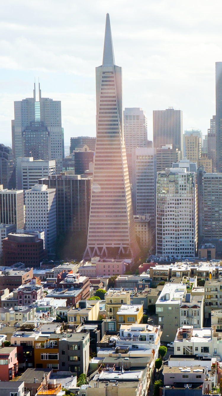 High Rise Buildings During Daytime. Wallpaper in 750x1334 Resolution