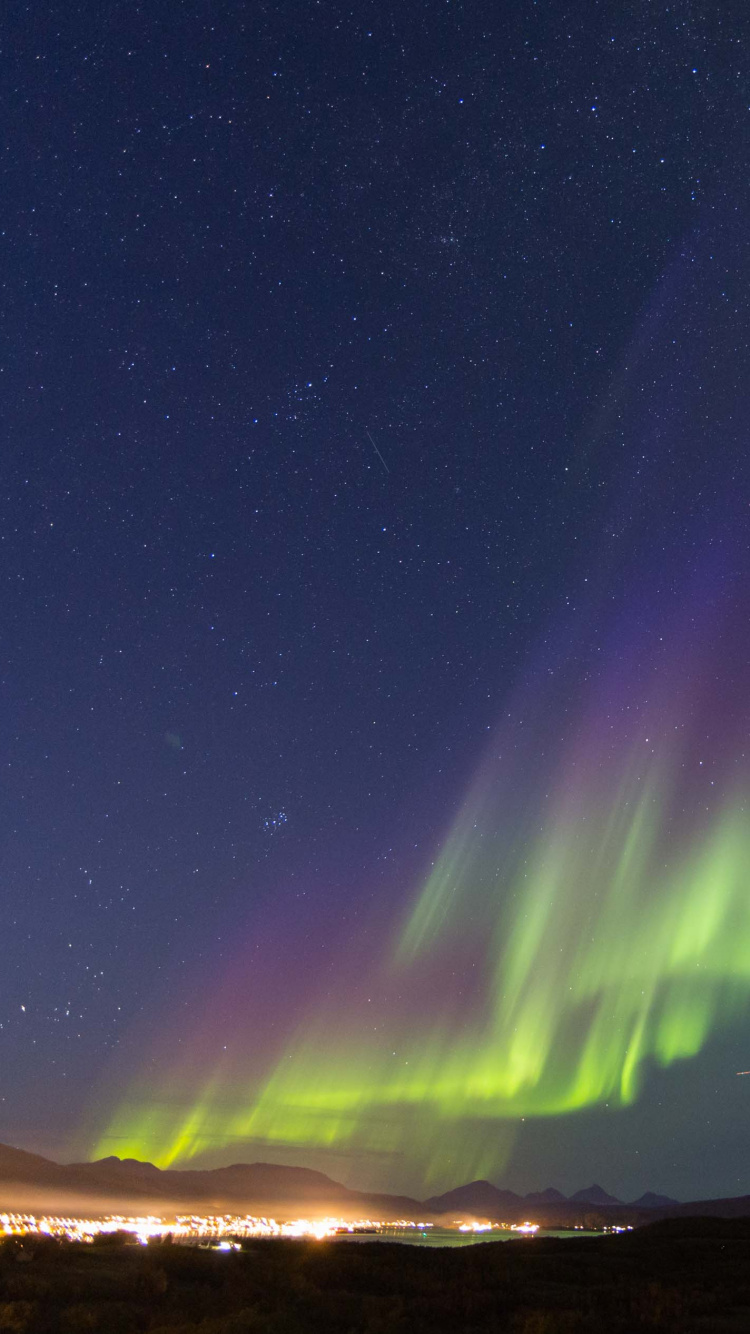 Aurora, Nature, Green, Atmosphère, Nuit. Wallpaper in 750x1334 Resolution