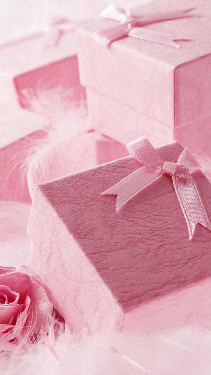 Gift, Pink, Gift Wrapping, Party Favor, Present. Wallpaper in 720x1280 Resolution