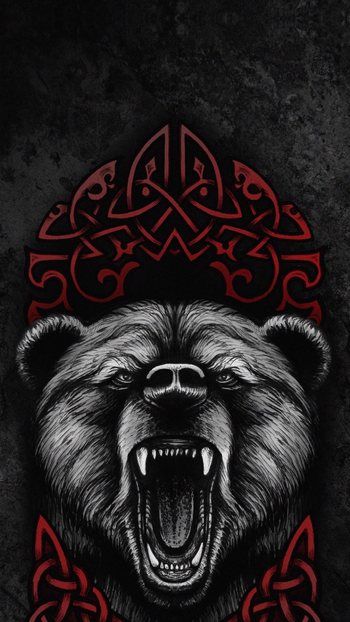 Poster, T-shirt, Herrenhemd, Kapuze, Shirt. Wallpaper in 720x1280 Resolution