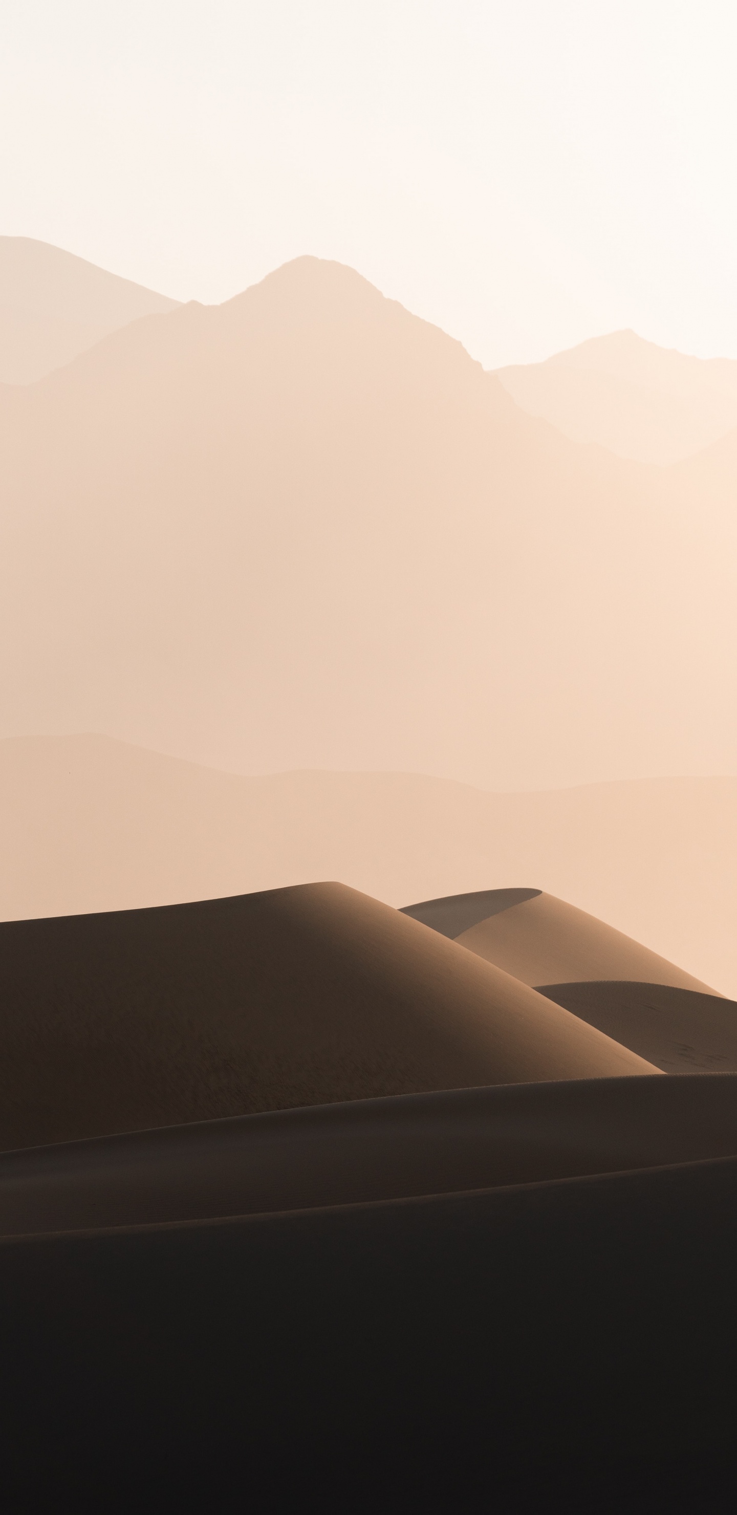 le Chant de Sable, Nature, Paysage Naturel, ERG, Terrain. Wallpaper in 1440x2960 Resolution