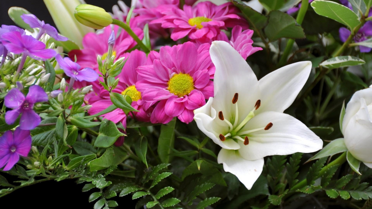 Flores Blancas y Rosadas Con Hojas Verdes. Wallpaper in 1280x720 Resolution