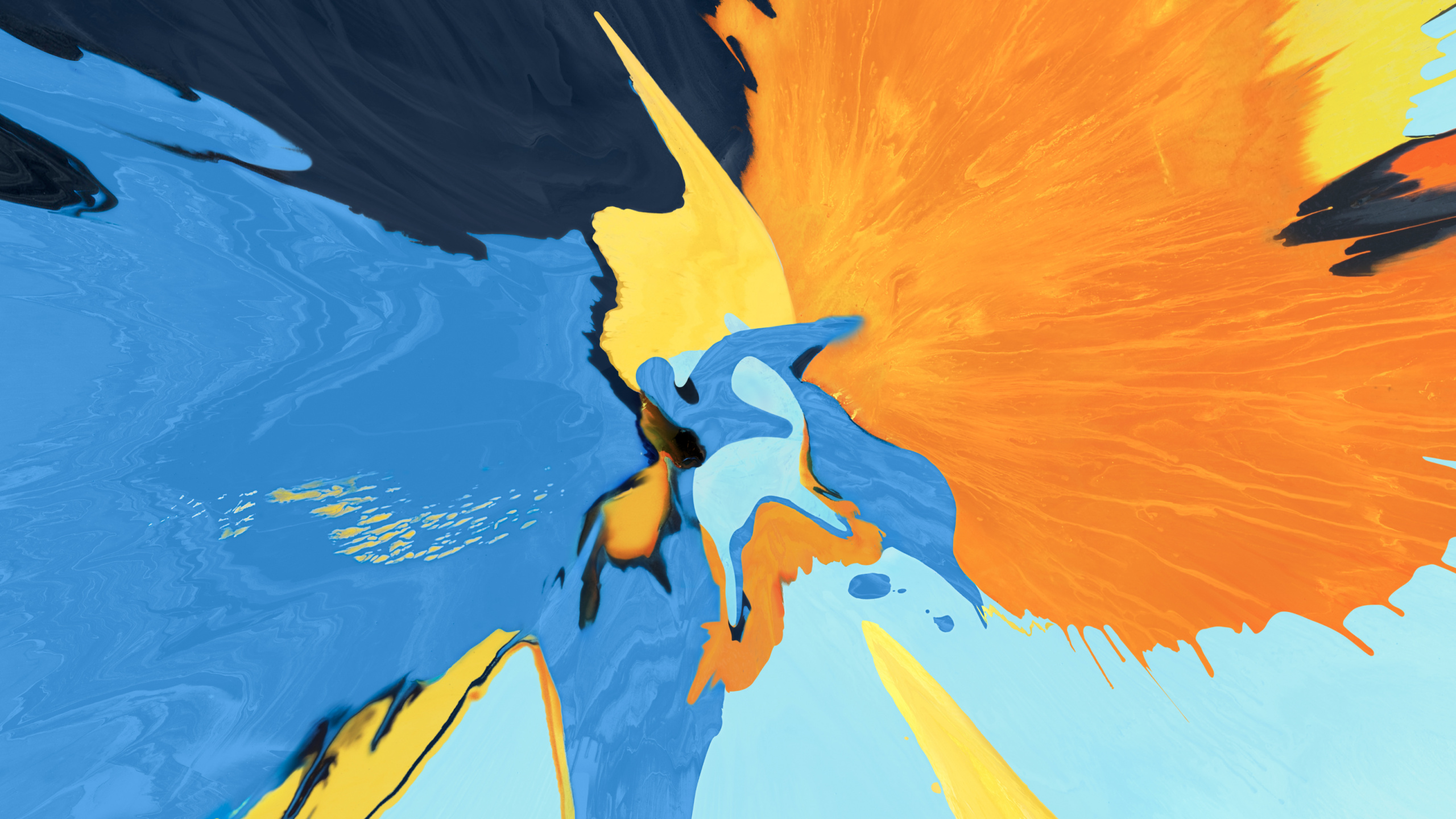 Peinture D'oiseau Bleu Jaune et Noir. Wallpaper in 2560x1440 Resolution