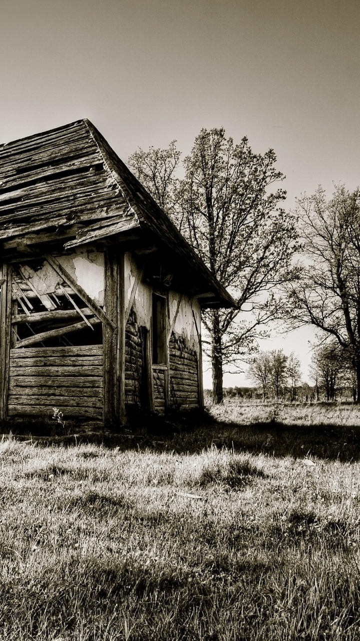 Photo en Niveaux de Gris D'une Maison en Bois Près Des Arbres Nus. Wallpaper in 720x1280 Resolution