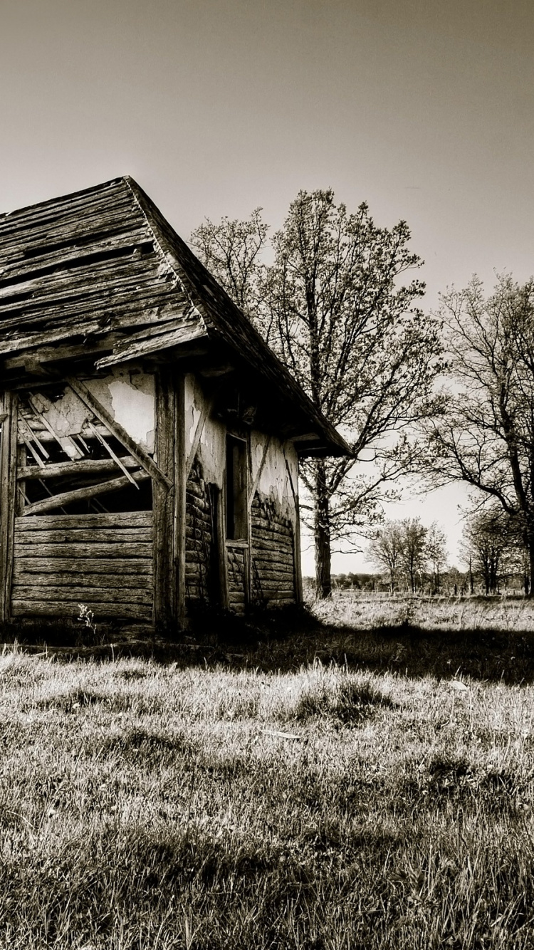Grayscale Photo of Wooden House Near Bare Trees. Wallpaper in 750x1334 Resolution