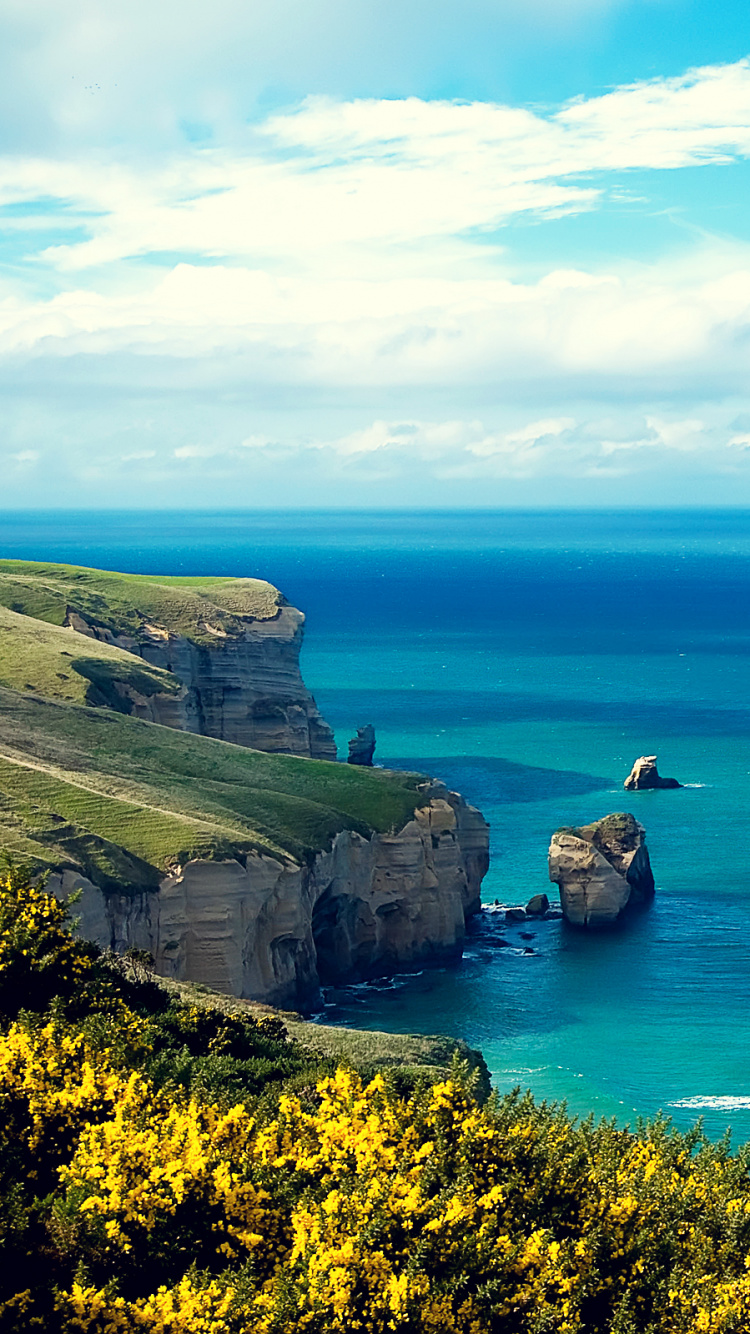 Formation Rocheuse Verte et Brune à Côté de la Mer Bleue Sous un Ciel Nuageux Bleu et Blanc Pendant la Journée. Wallpaper in 750x1334 Resolution