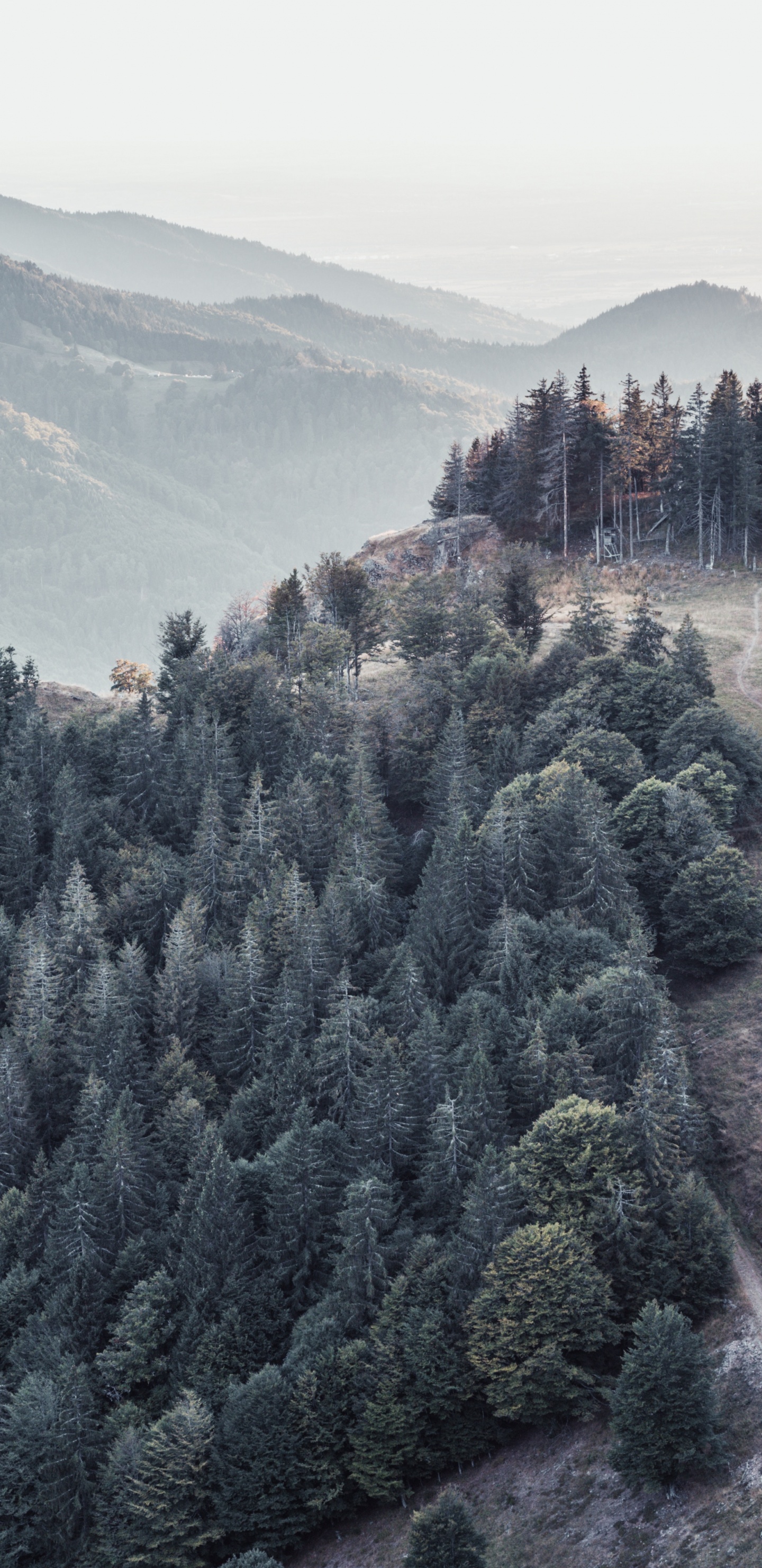 Bergkette, Grat, Natur, Hill, Himmel. Wallpaper in 1440x2960 Resolution