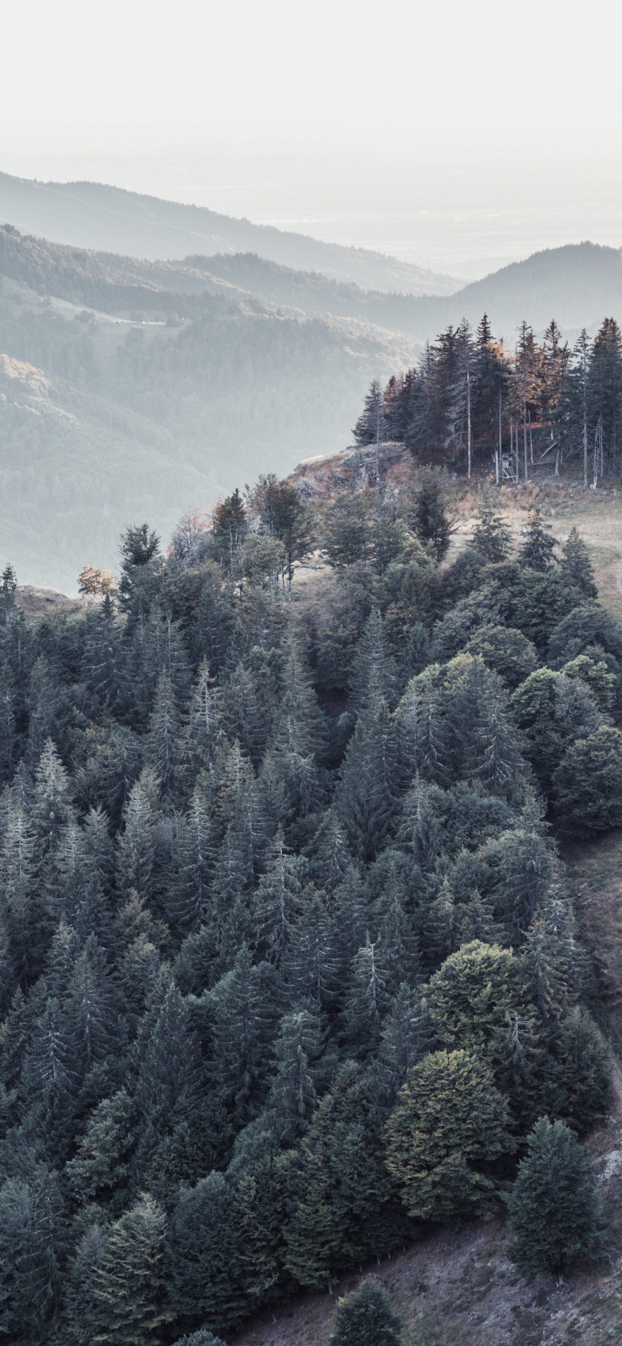 Ridge, Montaña, Naturaleza, Colina, Sica. Wallpaper in 1242x2688 Resolution