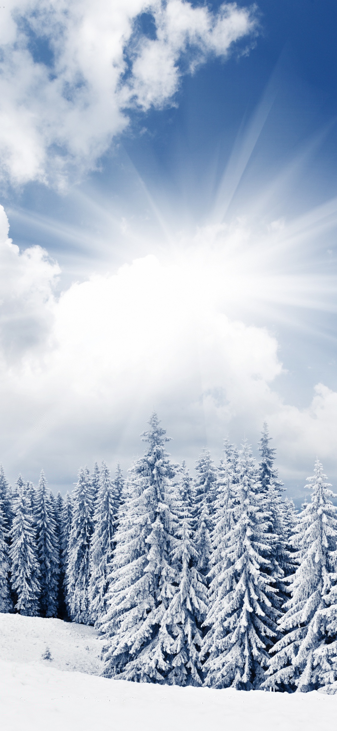 Pins Couverts de Neige Sous Ciel Bleu et Nuages Blancs Pendant la Journée. Wallpaper in 1125x2436 Resolution