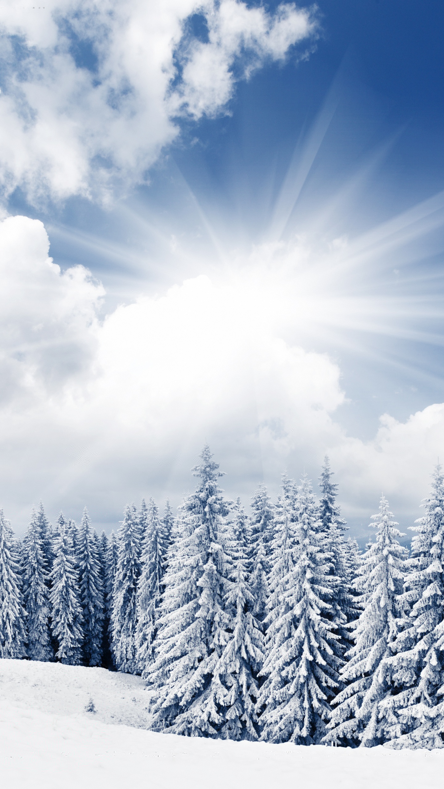 Snow Covered Pine Trees Under Blue Sky and White Clouds During Daytime. Wallpaper in 1440x2560 Resolution