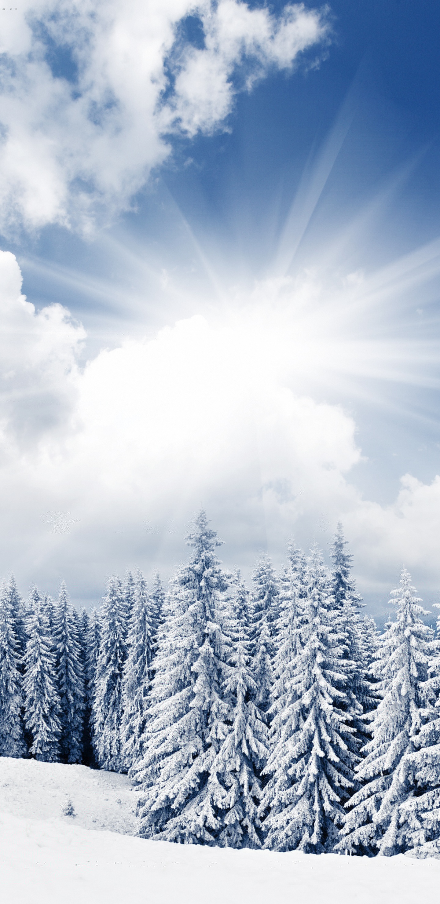 Snow Covered Pine Trees Under Blue Sky and White Clouds During Daytime. Wallpaper in 1440x2960 Resolution