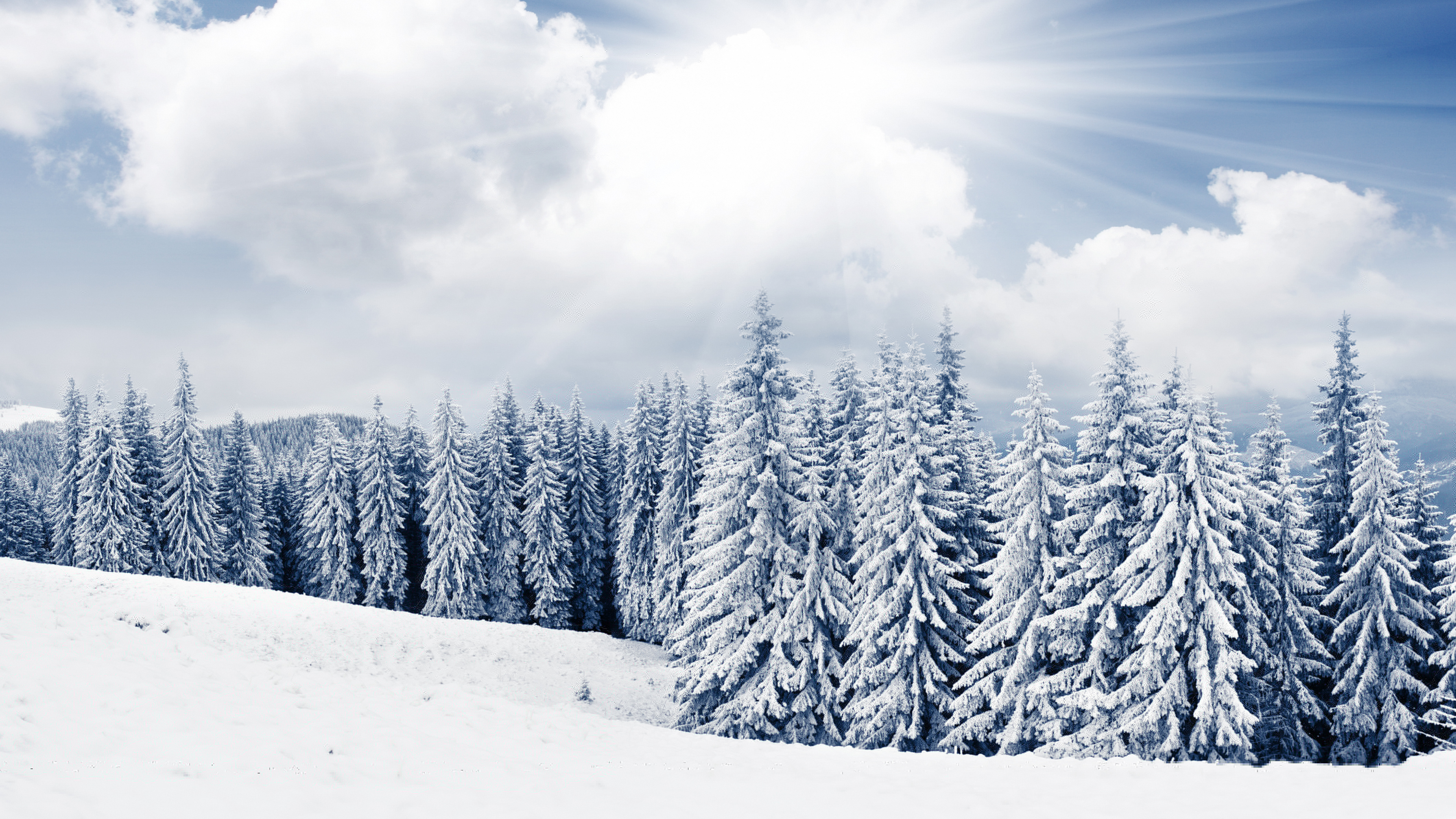 Pinos Cubiertos de Nieve Bajo un Cielo Azul y Nubes Blancas Durante el Día. Wallpaper in 3840x2160 Resolution