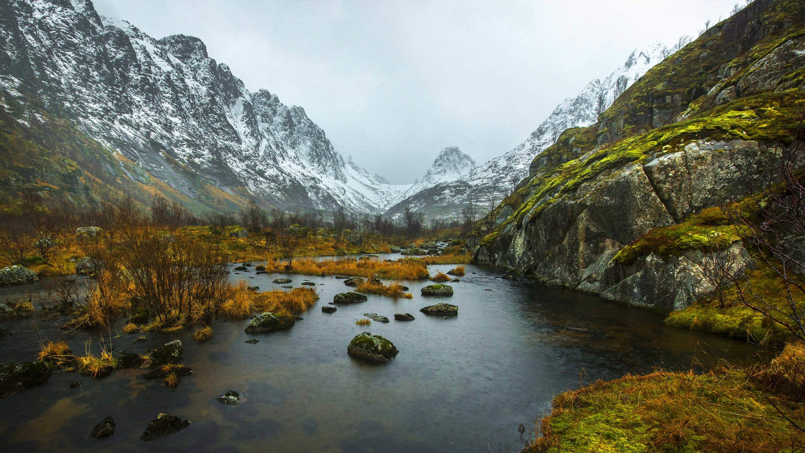 Gray and Green Mountain Near Body of Water During Daytime. Wallpaper in 2560x1440 Resolution