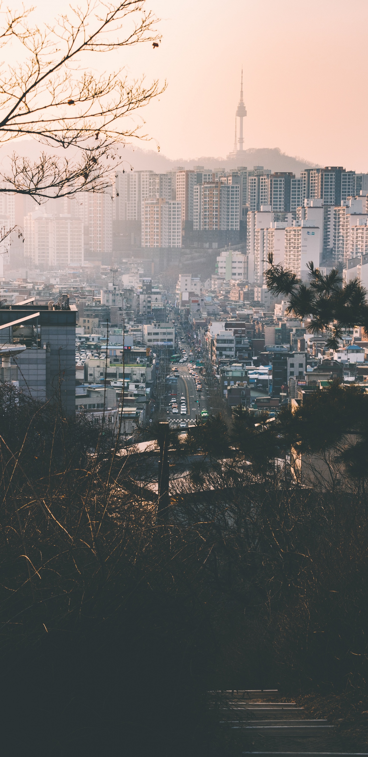 Horizonte de la Ciudad Durante el Día. Wallpaper in 1440x2960 Resolution