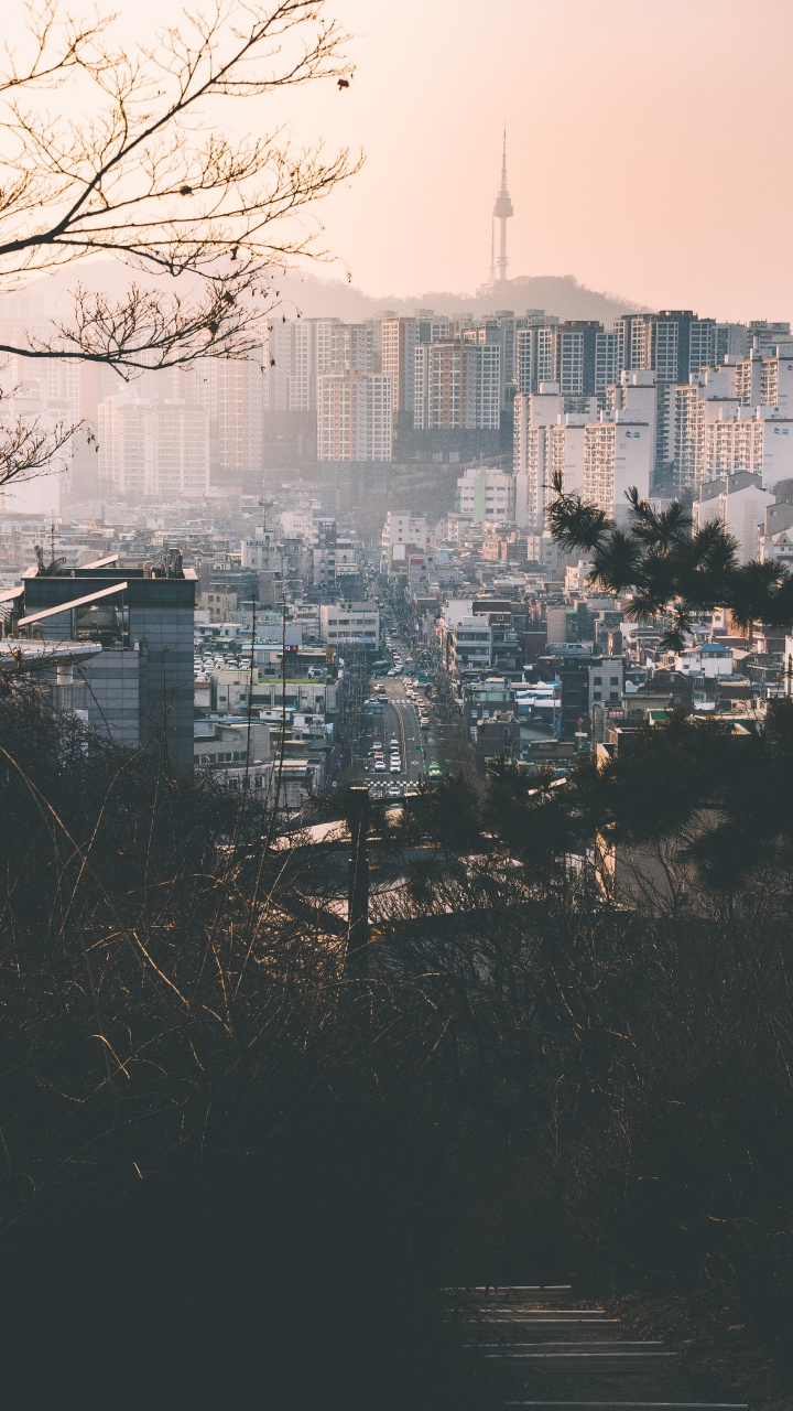 City Skyline During Day Time. Wallpaper in 720x1280 Resolution