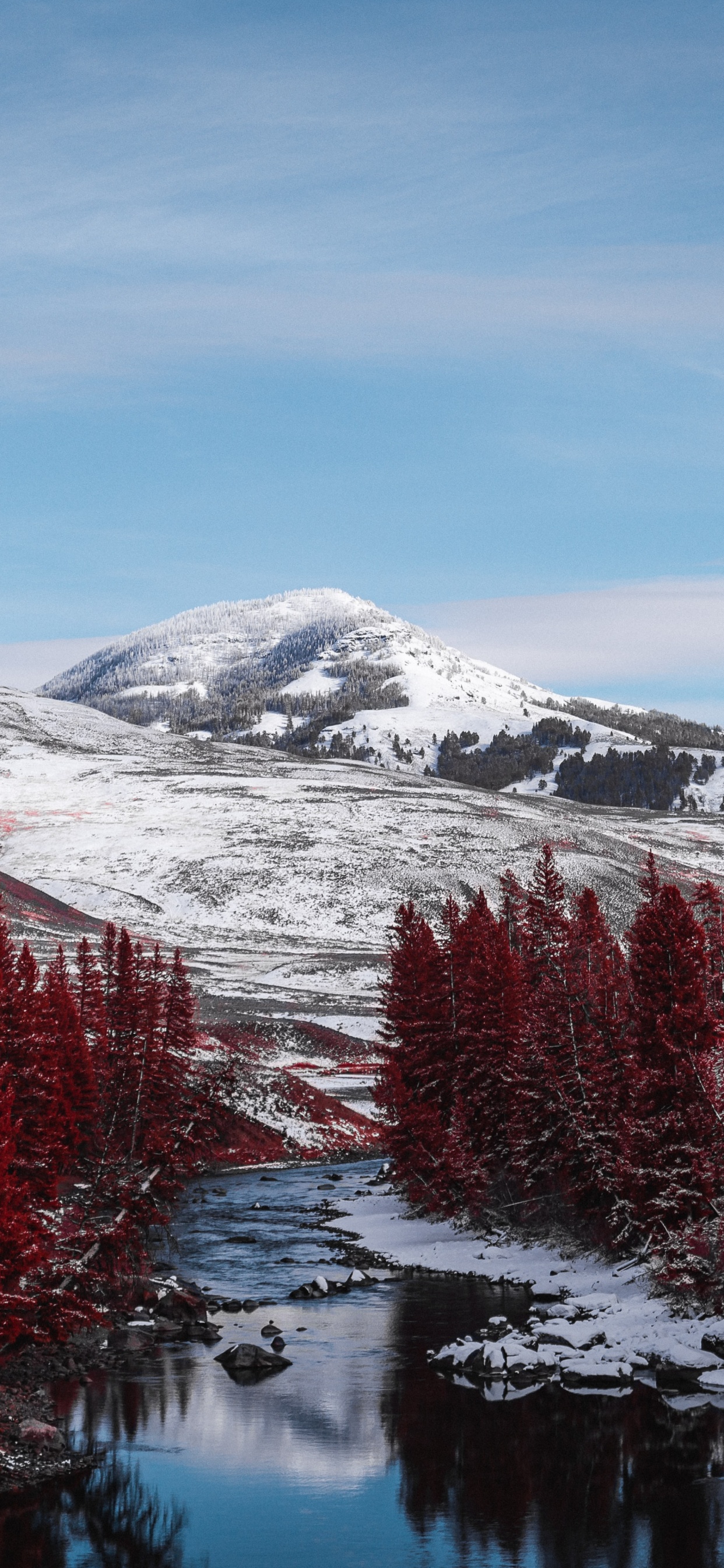 Nature, Fir, Mountainous Landforms, Natural Landscape, Tree. Wallpaper in 1242x2688 Resolution