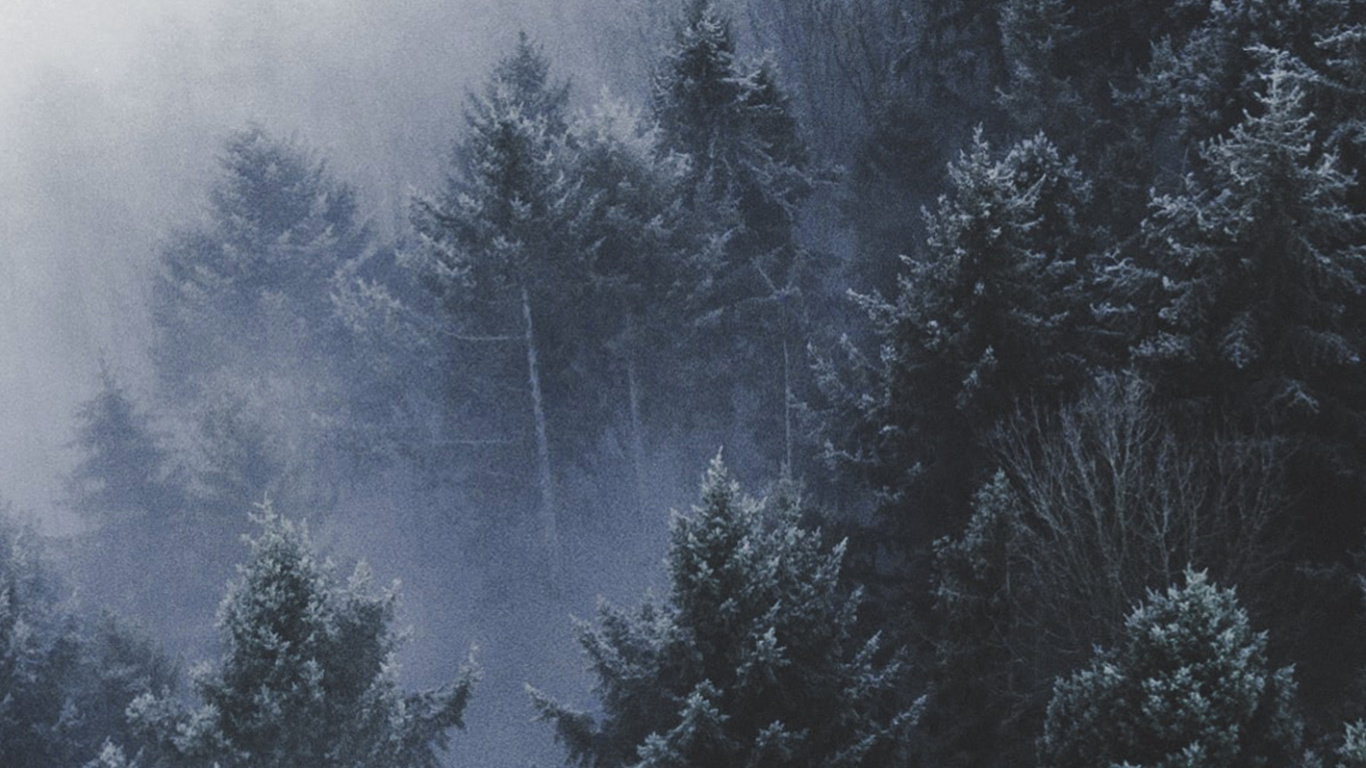 Baum, Wald, Gewässer, Winter, Bergigen Landschaftsformen. Wallpaper in 1366x768 Resolution