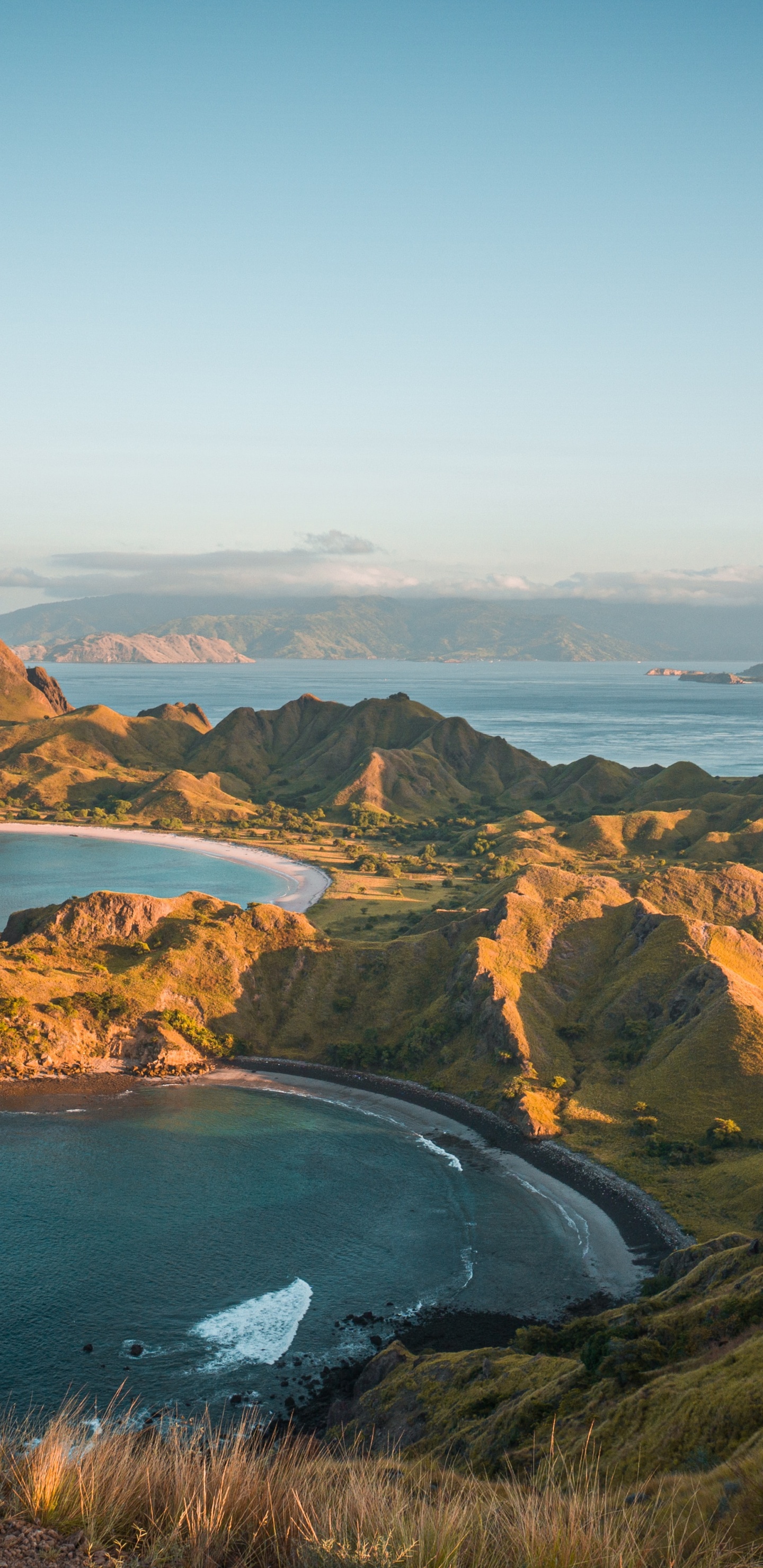 Komodo National Park, Komodo, Padar Island, Rinca, Komodo Dragon. Wallpaper in 1440x2960 Resolution