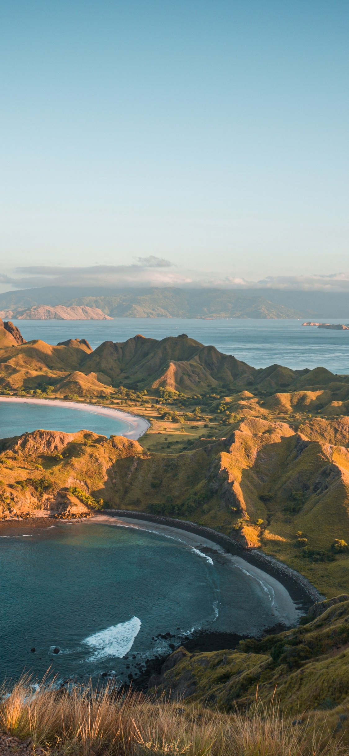 Parque Nacional de Komodo, Komodo, Isla Padar, Detalle, Dragon de Komodo. Wallpaper in 1125x2436 Resolution