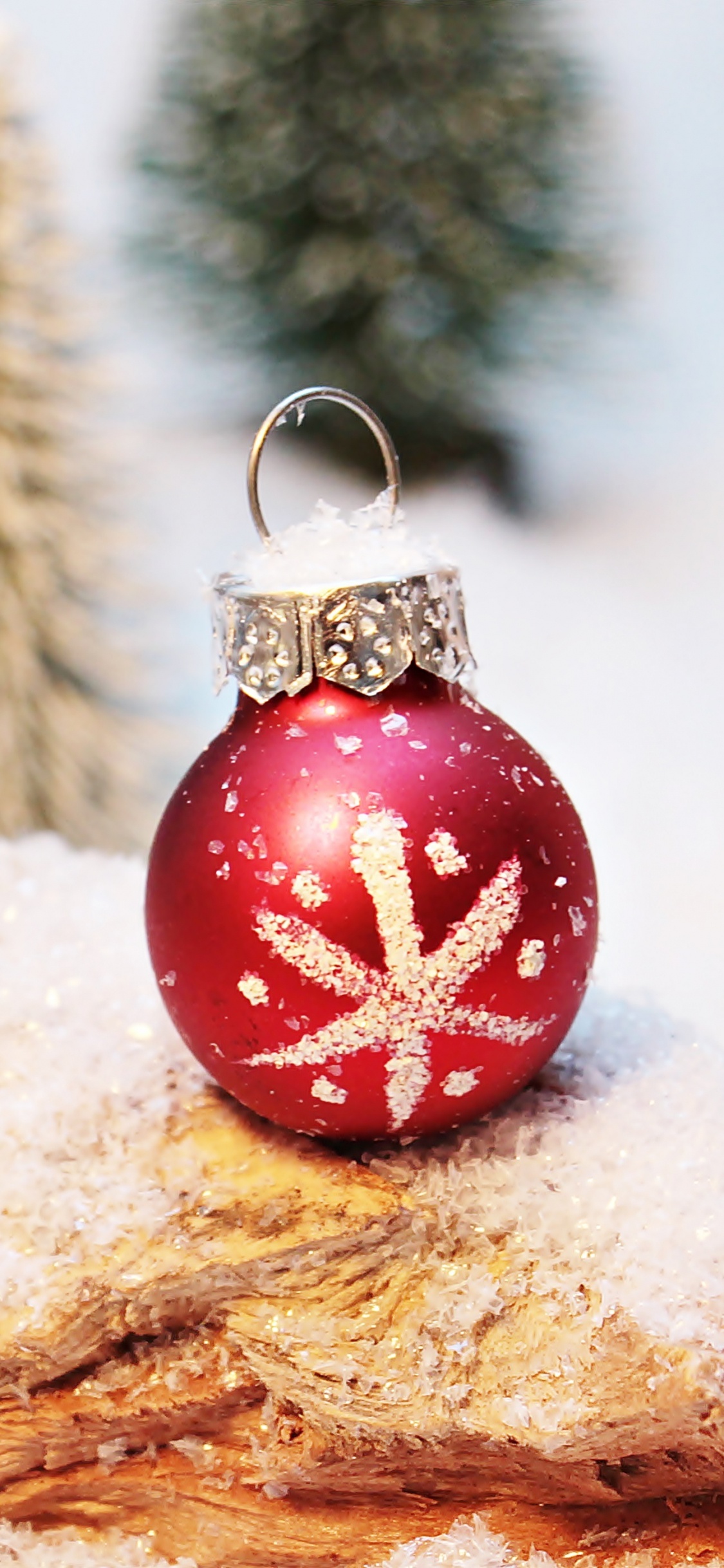 Christmas Day, Christmas Ornament, Tree, Christmas Decoration, Fir. Wallpaper in 1125x2436 Resolution