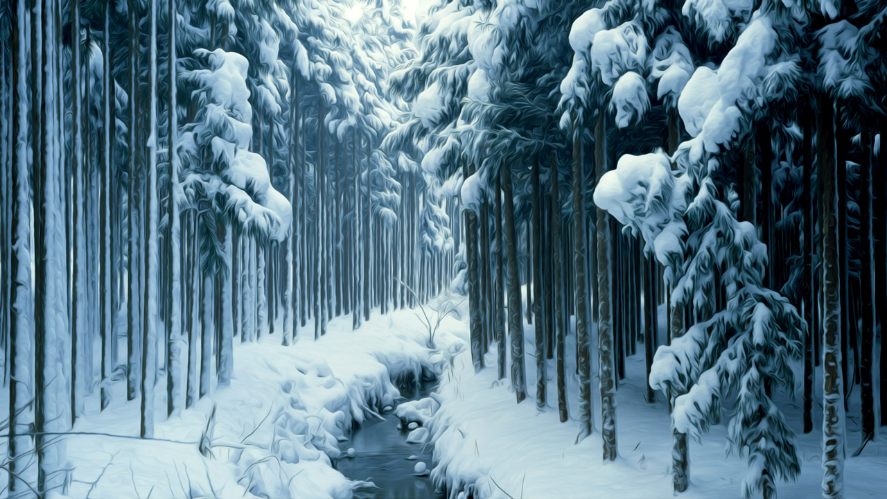 Arbres Couverts de Neige Pendant la Journée. Wallpaper in 1280x720 Resolution