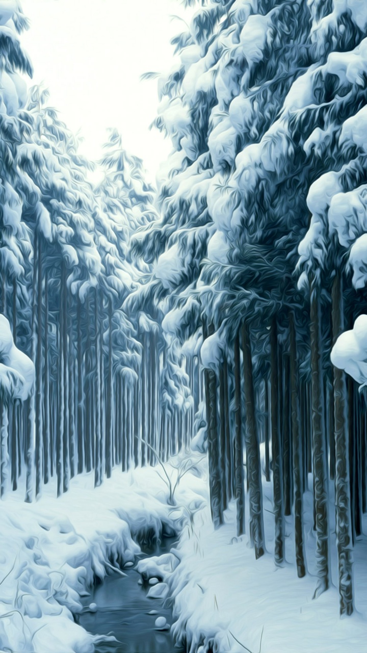 Árboles Cubiertos de Nieve Durante el Día. Wallpaper in 720x1280 Resolution