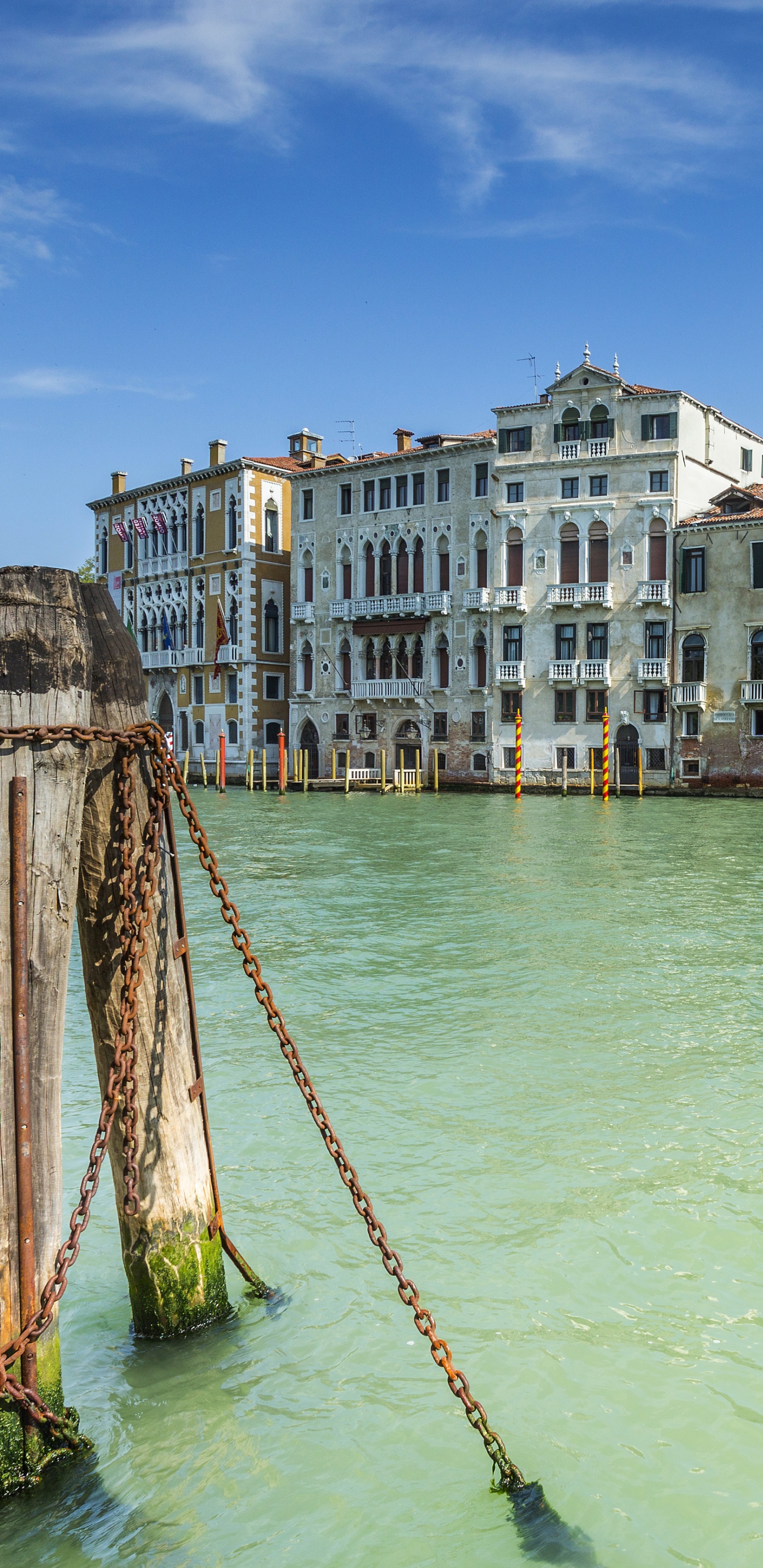 Plan D'eau Près Des Bâtiments Pendant la Journée. Wallpaper in 1440x2960 Resolution