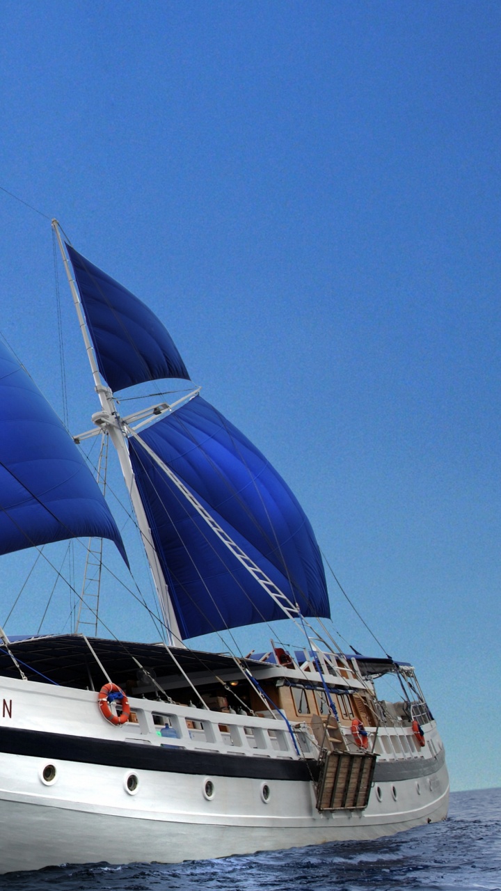 White Sail Boat on Sea During Daytime. Wallpaper in 720x1280 Resolution