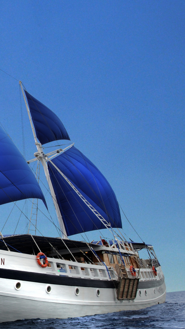 White Sail Boat on Sea During Daytime. Wallpaper in 750x1334 Resolution