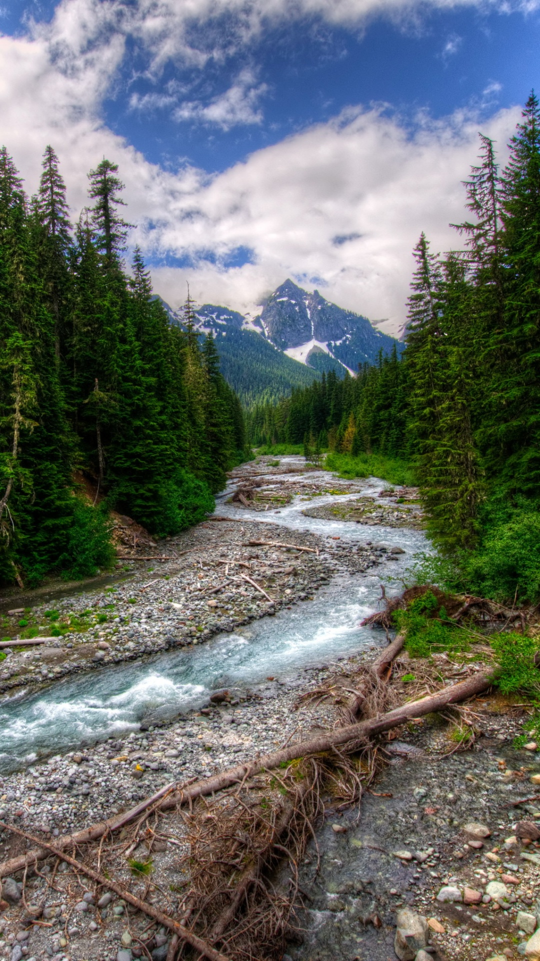 Green Trees Near River Under Blue Sky During Daytime. Wallpaper in 1080x1920 Resolution
