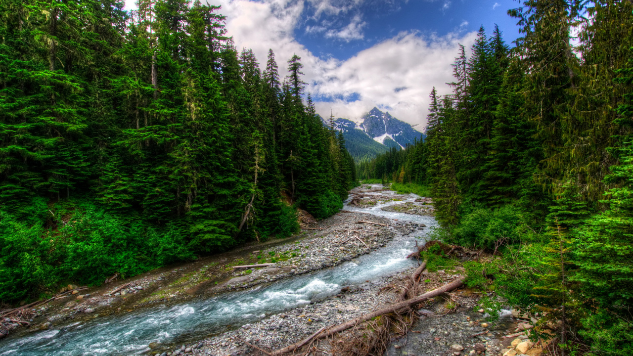 Green Trees Near River Under Blue Sky During Daytime. Wallpaper in 1280x720 Resolution