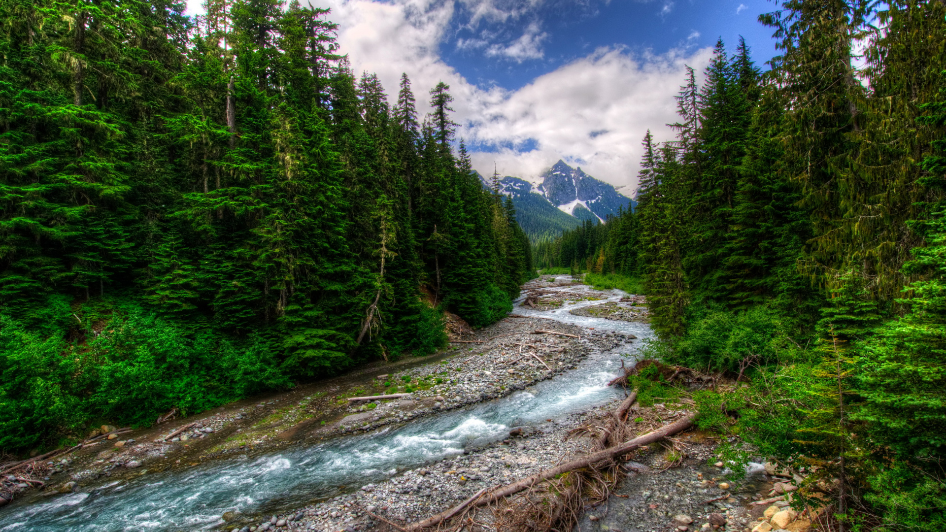 Green Trees Near River Under Blue Sky During Daytime. Wallpaper in 1920x1080 Resolution