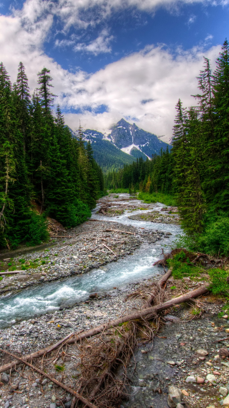 Green Trees Near River Under Blue Sky During Daytime. Wallpaper in 750x1334 Resolution