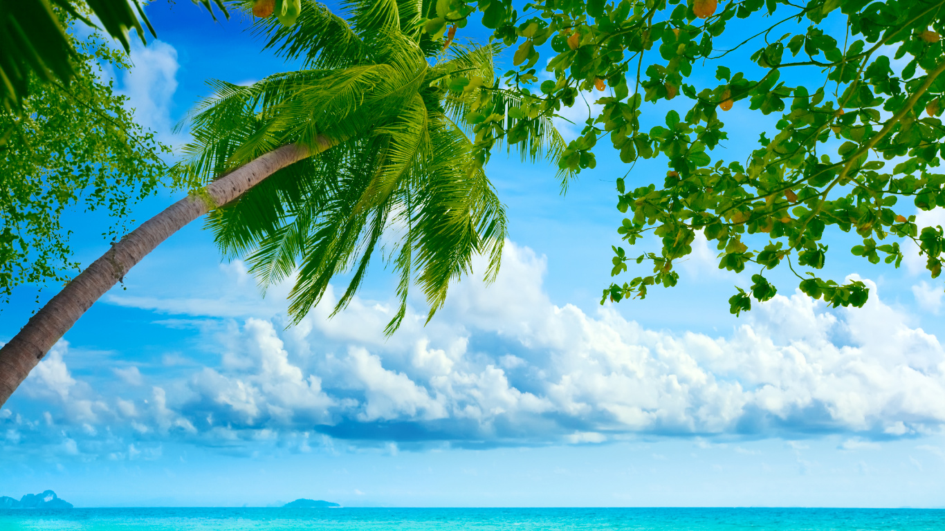 Tropique, Nature, la Journée, Green, Paysage Naturel. Wallpaper in 1366x768 Resolution