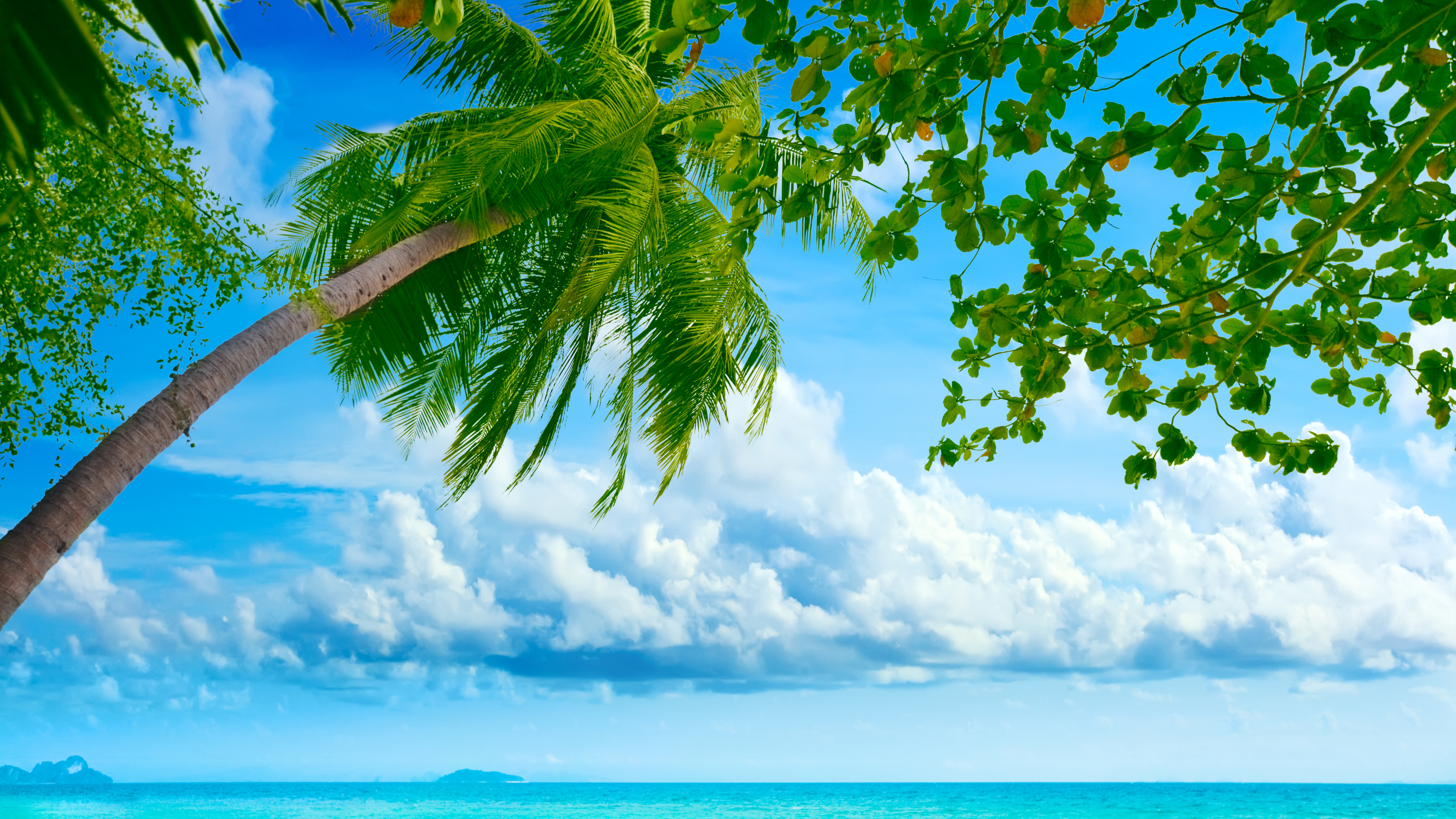 Tropique, Nature, la Journée, Green, Paysage Naturel. Wallpaper in 3840x2160 Resolution