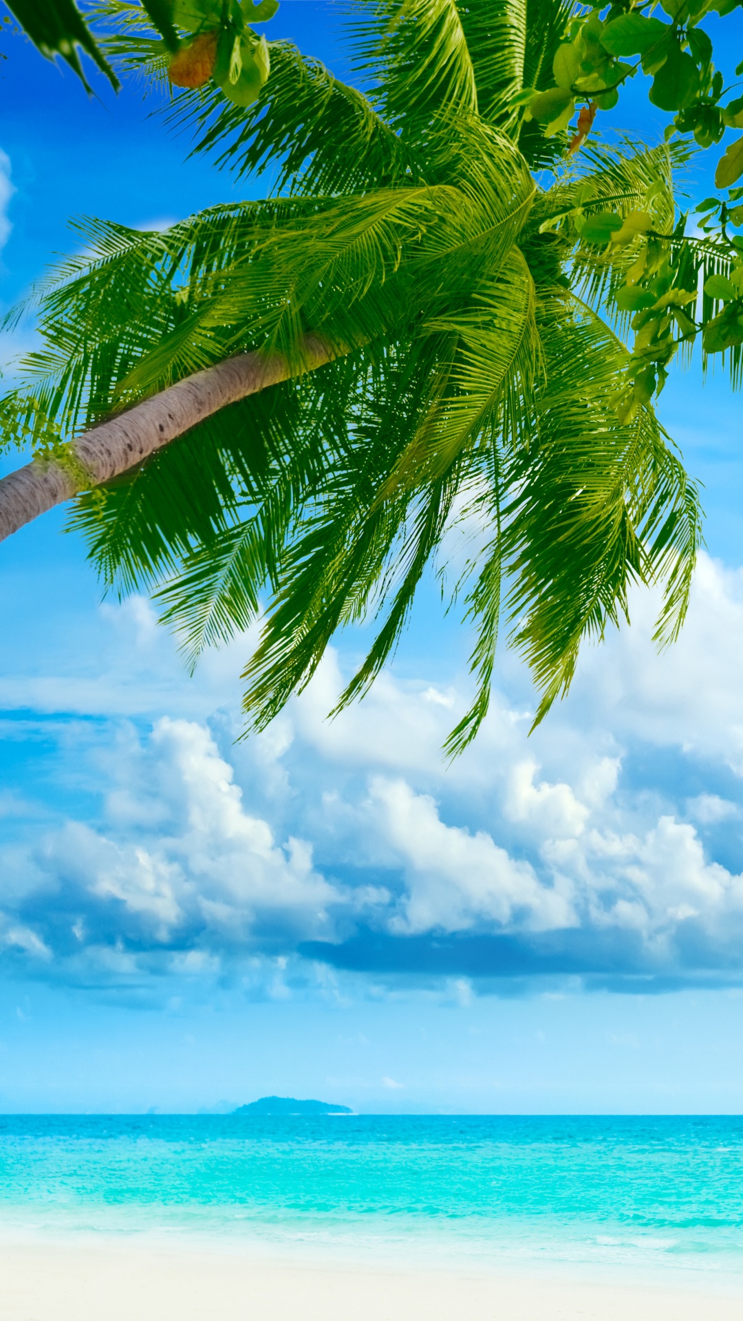 Tropics, Natur, Tageszeit, Baum, Gr. Wallpaper in 1080x1920 Resolution