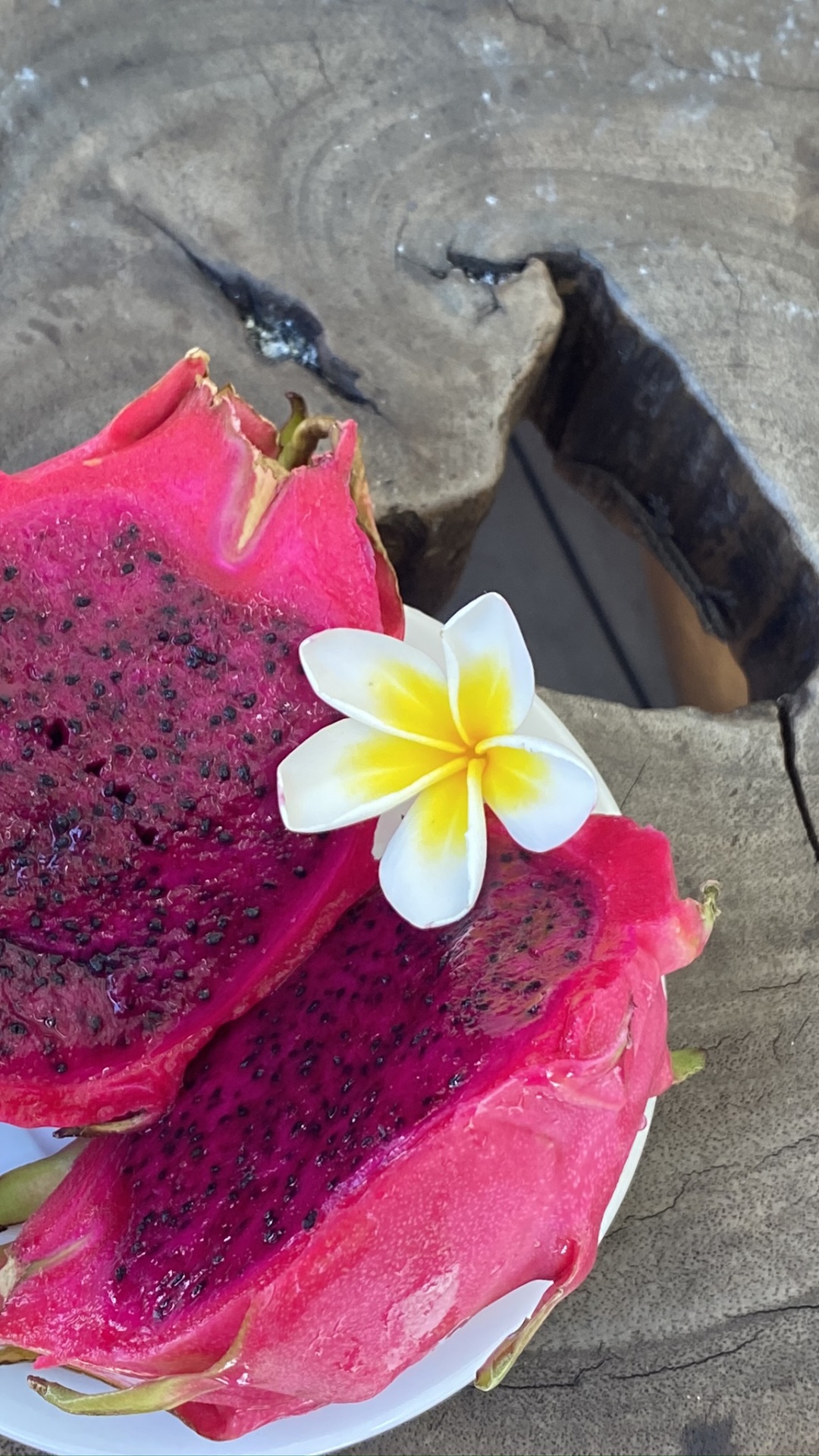 Blütenblatt, Pink, Magenta, Costa Rican Pitahaya, Drachenfrucht. Wallpaper in 1080x1920 Resolution