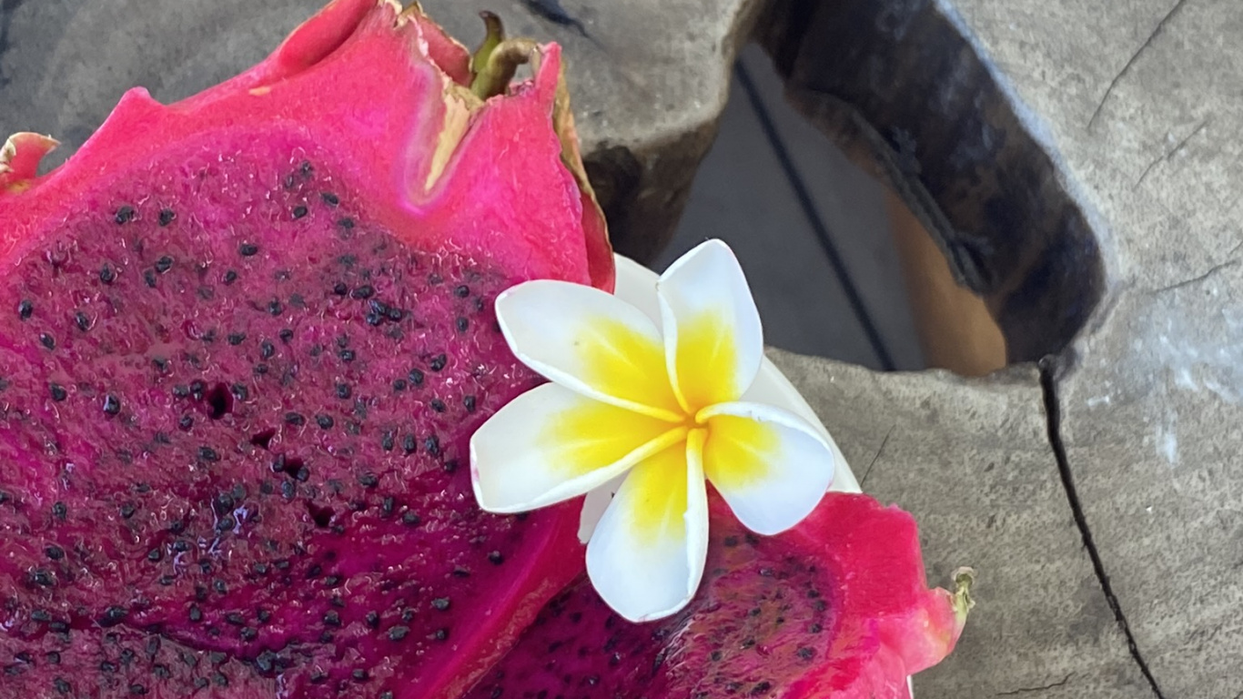Blütenblatt, Pink, Magenta, Costa Rican Pitahaya, Drachenfrucht. Wallpaper in 1366x768 Resolution