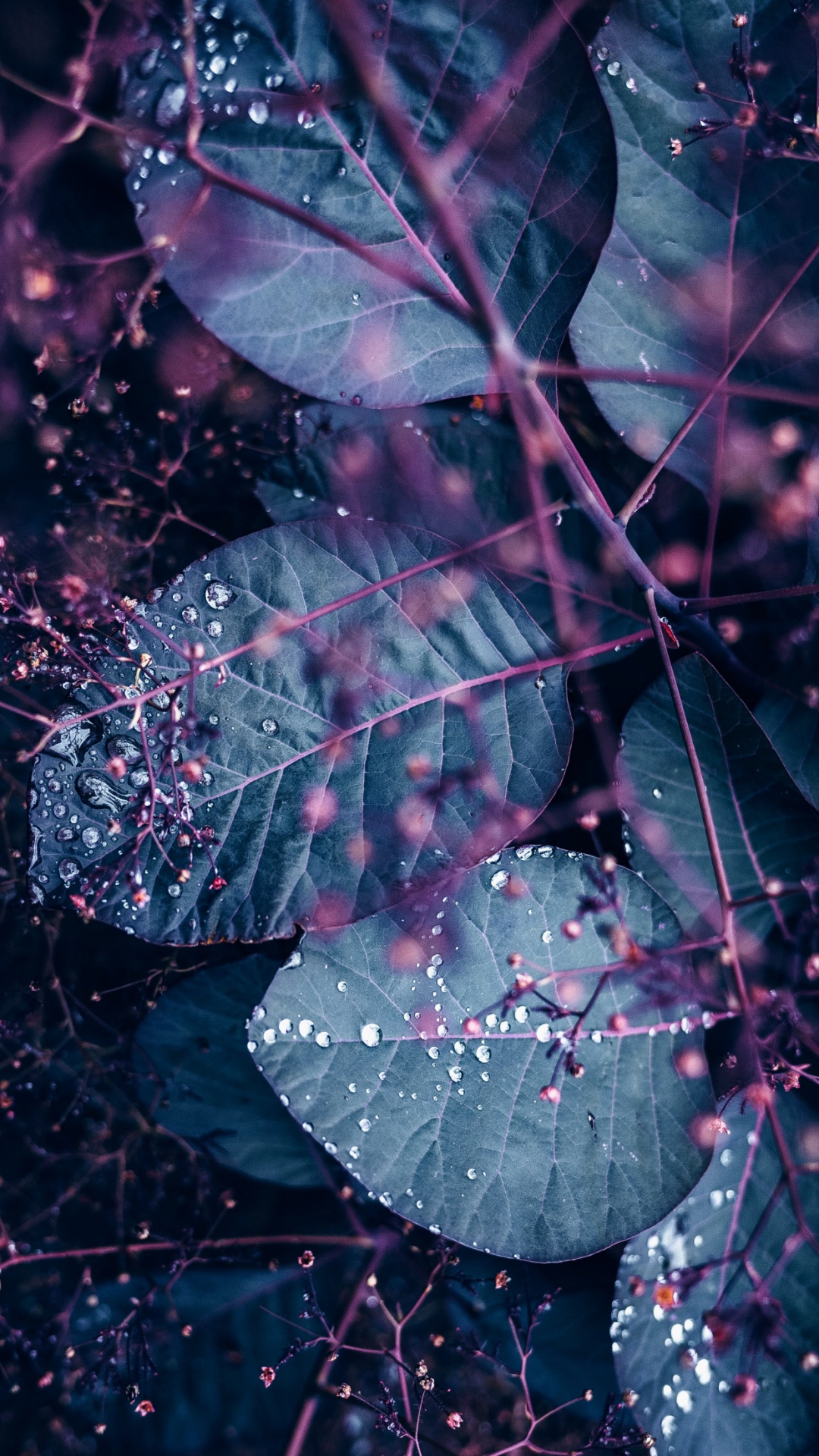 Affiche, Art, le Travail de L'art, Eau, Liquid. Wallpaper in 1080x1920 Resolution