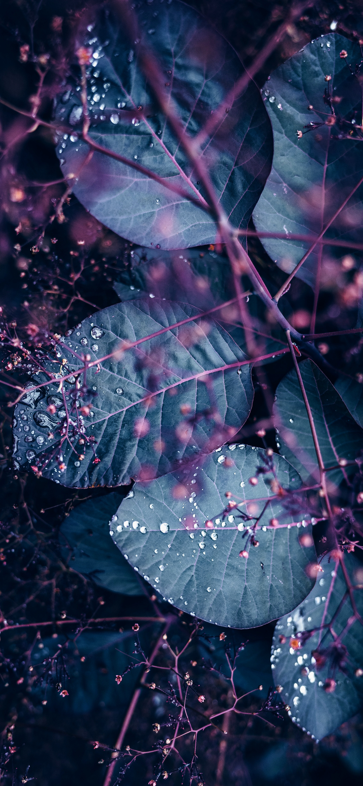 Affiche, Art, le Travail de L'art, Eau, Liquid. Wallpaper in 1242x2688 Resolution