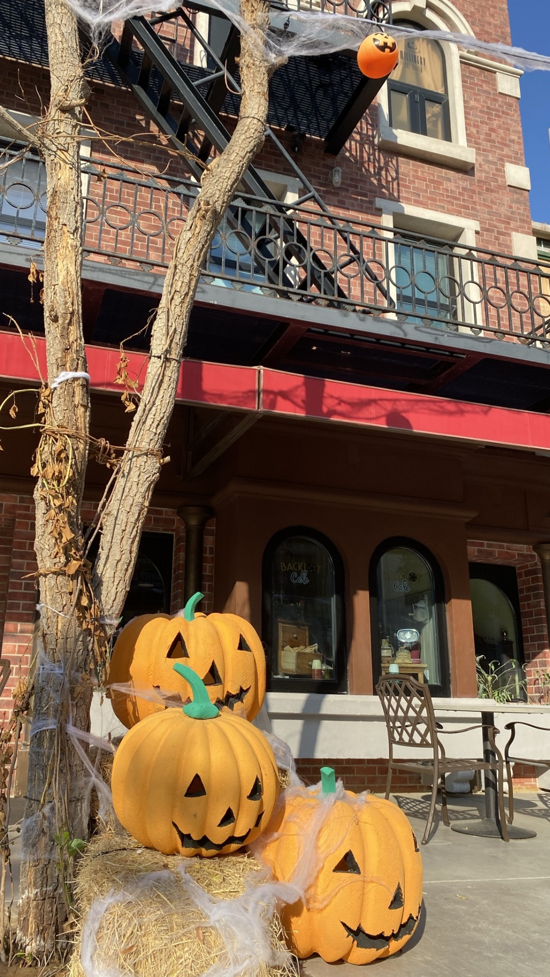 Faade, Vegetal, Jack O'lantern, Calabaza de Invierno, Calabaza. Wallpaper in 1080x1920 Resolution