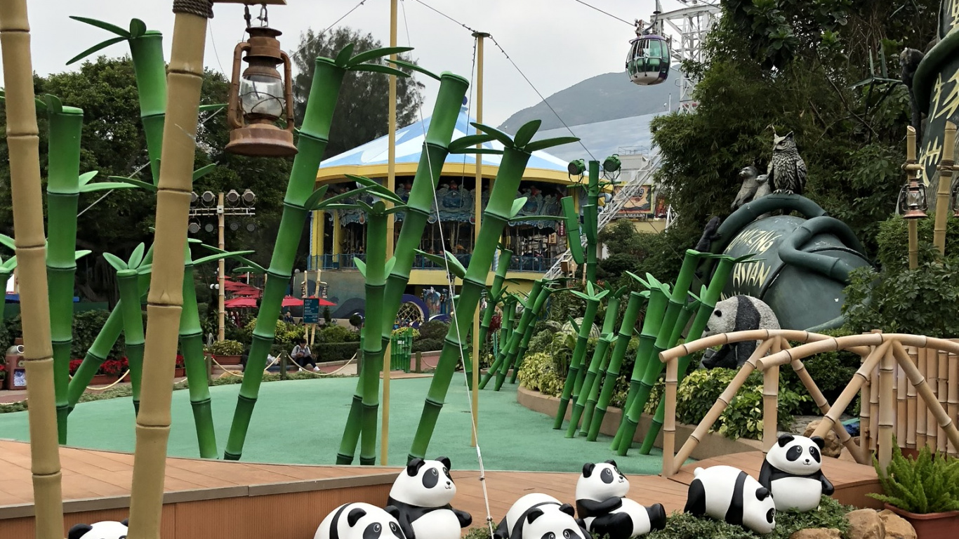 Panda, Champ, Électricité, Ligne Électrique Aérienne, Garden. Wallpaper in 1366x768 Resolution