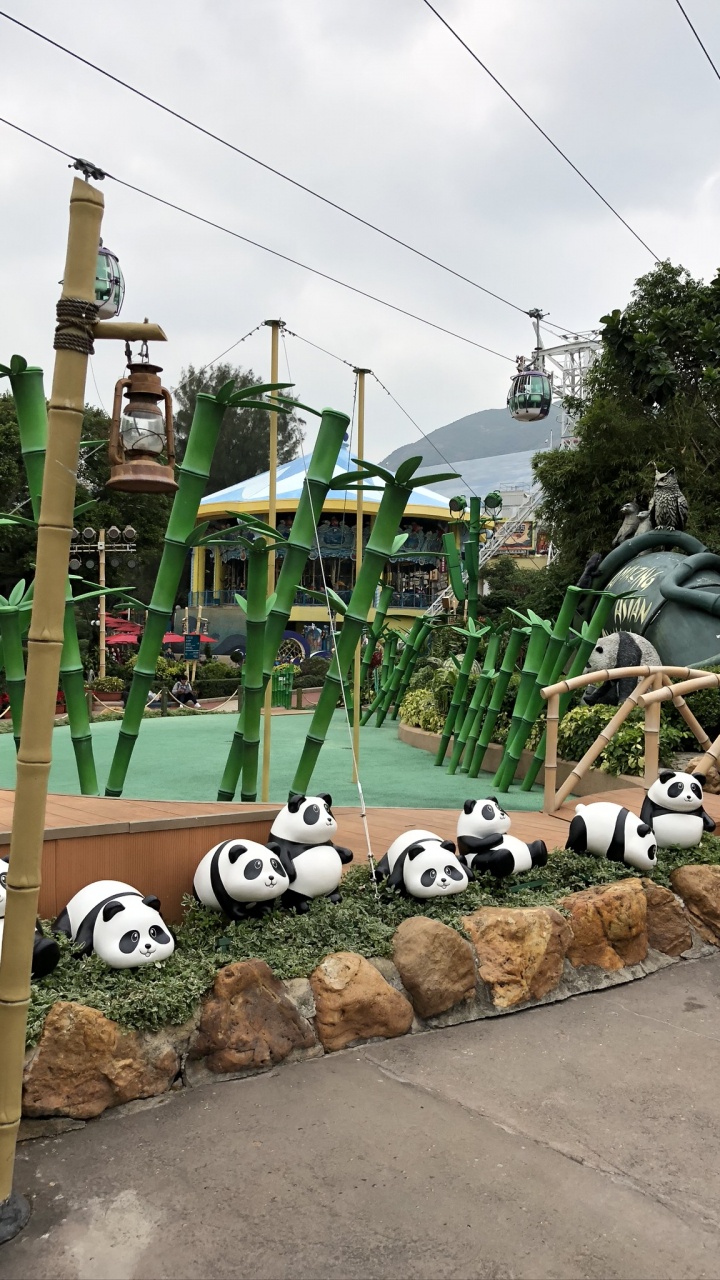 Tree, Giant Panda, Field, Electricity, Overhead Power Line. Wallpaper in 720x1280 Resolution