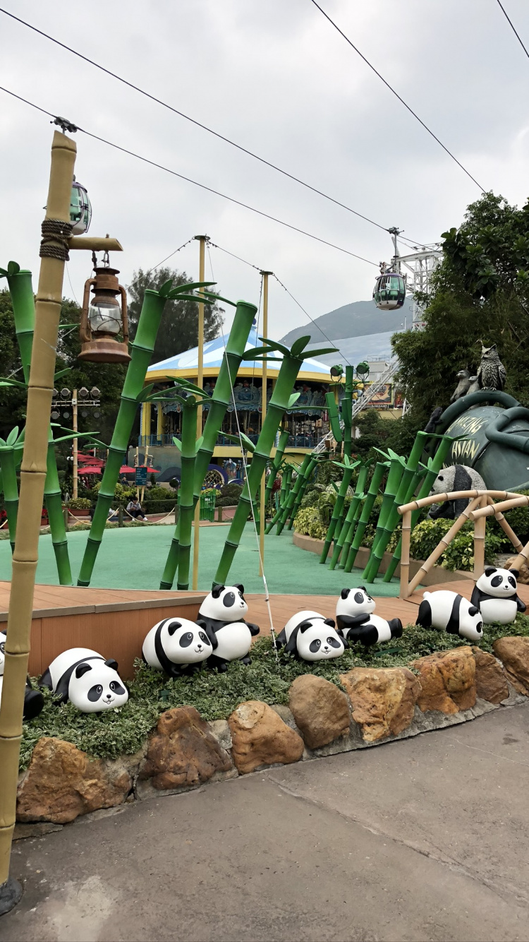 Tree, Giant Panda, Field, Electricity, Overhead Power Line. Wallpaper in 750x1334 Resolution