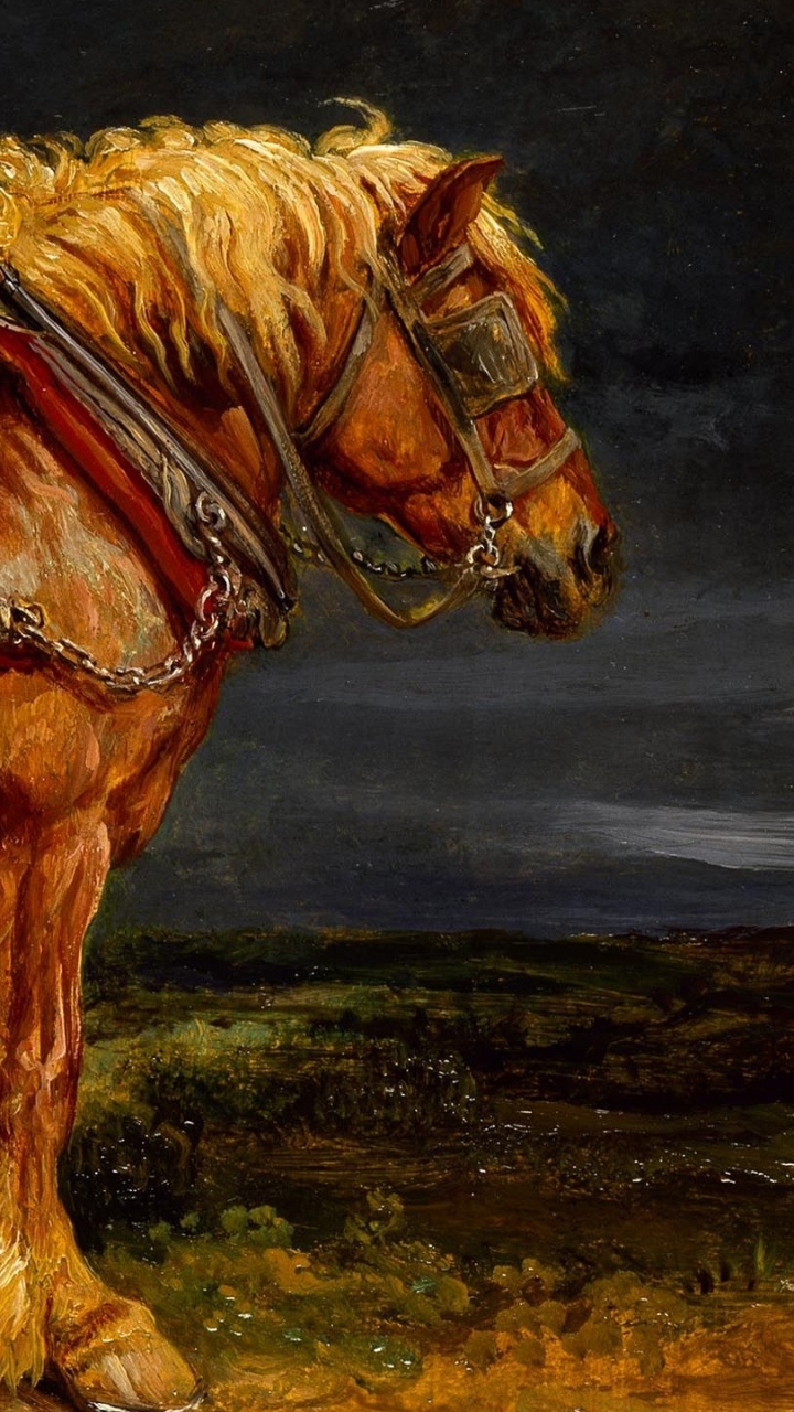 Brown Horse on Green Grass Field During Daytime. Wallpaper in 720x1280 Resolution