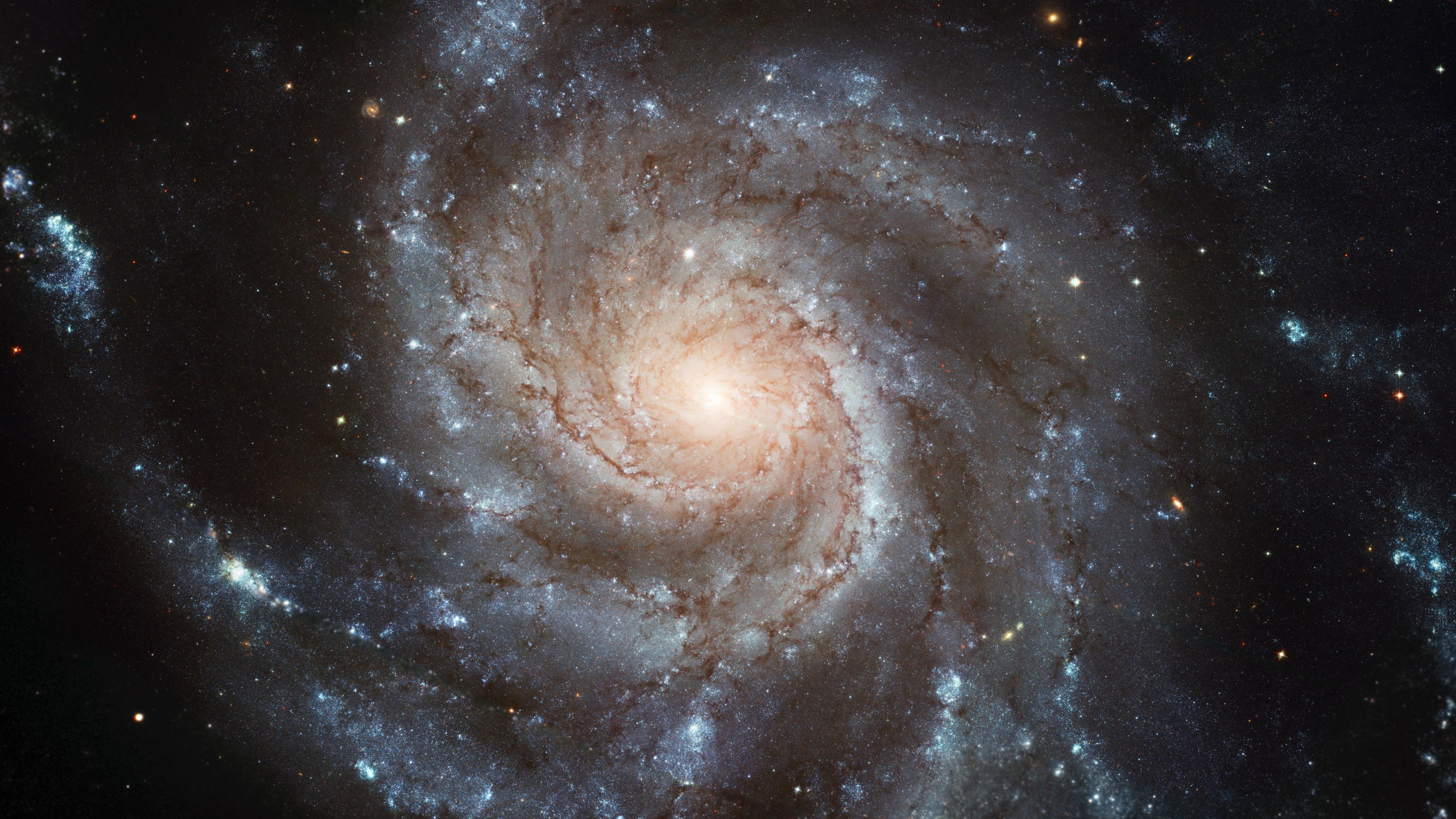 Ilustración de Galaxia Marrón y Negro. Wallpaper in 2560x1440 Resolution