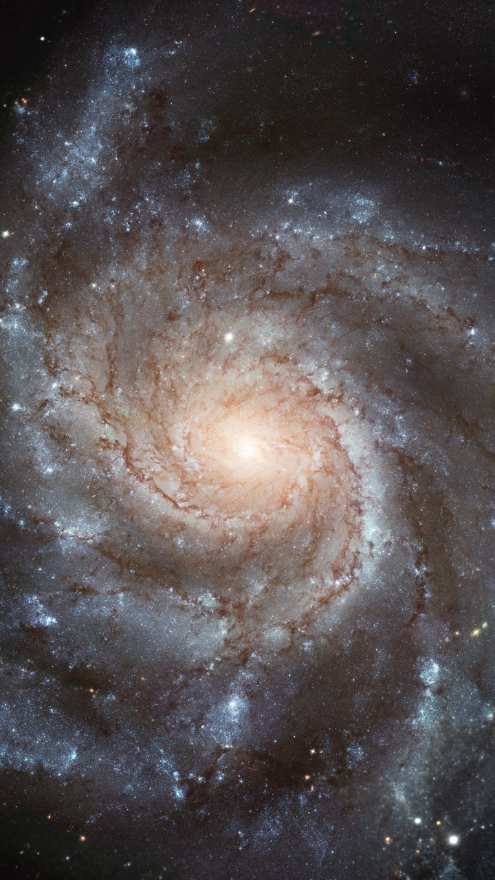 Ilustración de Galaxia Marrón y Negro. Wallpaper in 720x1280 Resolution