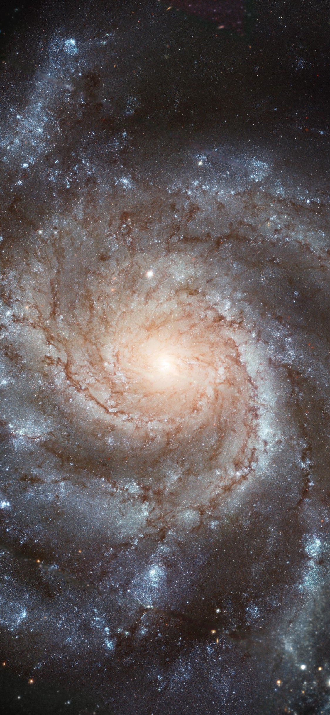 螺旋星系, 哈勃太空望远镜, 天文学, 天文学对象, 宇宙 壁纸 1125x2436 允许