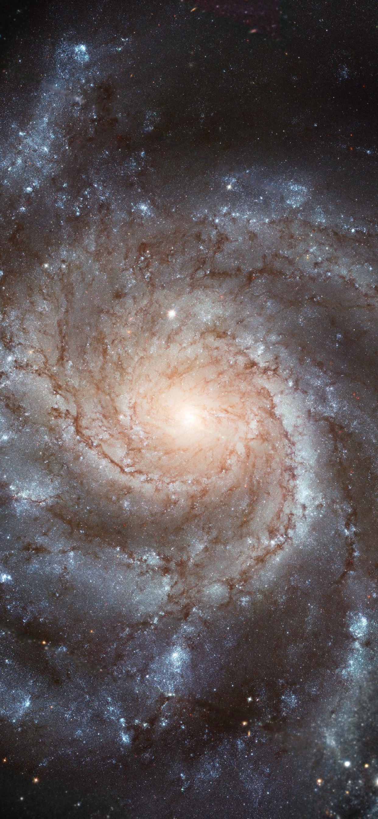 螺旋星系, 哈勃太空望远镜, 天文学, 天文学对象, 宇宙 壁纸 1242x2688 允许
